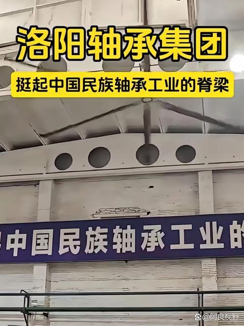 洛阳轴承的"绝地翻盘" 2006年寒冬,洛阳轴承厂的财务